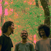 palamar2.png