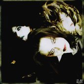 121300-speed-id-group-photo.jpg