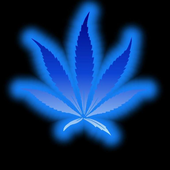 Dr_LuKe 的头像