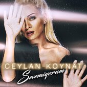 sevemiyorum-2016-D6MrNQTxFj-0.jpeg