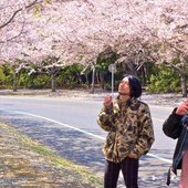 Psychomania (japanese punk band)