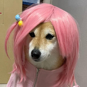 realcaek 的头像
