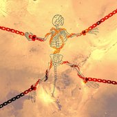 Silver Springs - Single