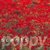 Poppy EP