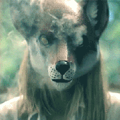 Avatar for FredFreddie
