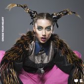 liznp_horns_cover.jpg