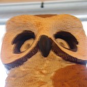 Owl Man