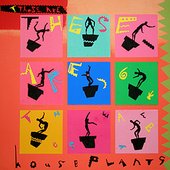 These Are These Are Houseplants