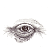 Avatar for ferransell