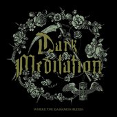 Where the Darkness Bleeds - EP