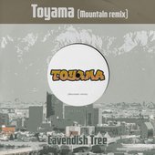 Toyama (Mountain Remix)