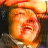 fvmvrx 的头像