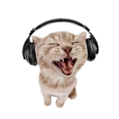 Avatar for luizafb