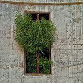 They'll Never Find Us Here