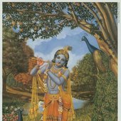 lord krishna.jpg