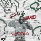 Guilty As Charged (The Remixes) [Explicit]