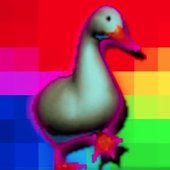 vfduck 的头像