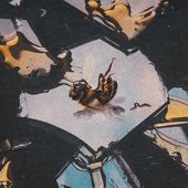 Honey Rot [Explicit]