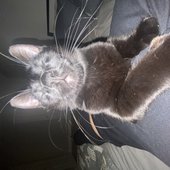 IMG_3633.jpeg