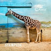 Stampede