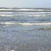 Waves014 的头像