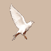 Avatar for aekyira