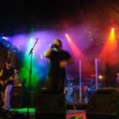 torment the vein