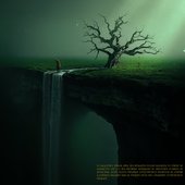 ADONIS ÆSTIVALIS [Explicit]