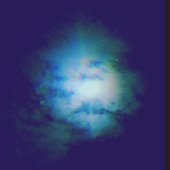 From the Midnight Eye