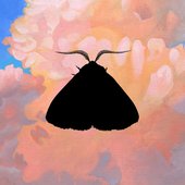 Moth to the Flame (Olga Bell Remix) - Single