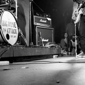 The Big Nose Attack - Live '14 - PNG