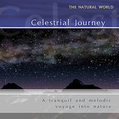 Celestial Journey