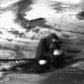 Crawl