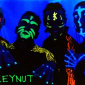 monkeynut