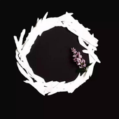 Avatar for reii_rae