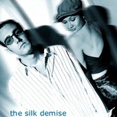 the silk demise