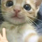 Yonntos 的头像