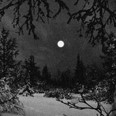 A-6345626-1520293878-5692.jpeg.jpg