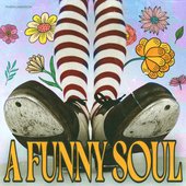 A Funny Soul