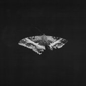 To Pimp A Butterfly (10th Anniversary)