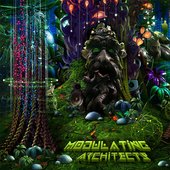 Modulating Architects