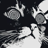 Avatar di Malibiu
