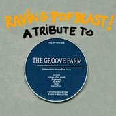 Raving Pop Blast! A Tribute To The Groove Farm