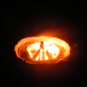 redcoal 的头像