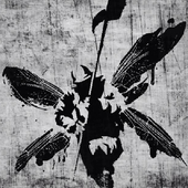 TheOne04 的头像