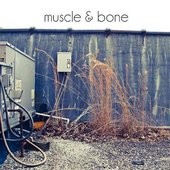 Muscle and Bone