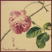 Vindicta Hominis