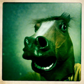 Avatar di st3v
