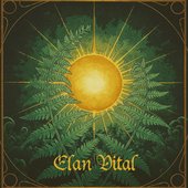 Élan Vital