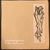 In Case of Capture - Single